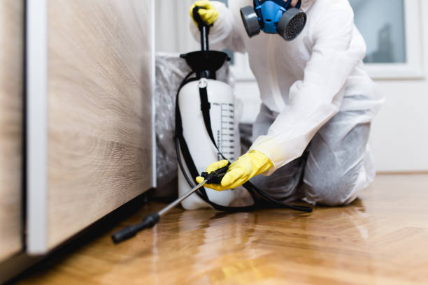 Best Best Pest Control Companies  in Hudson, MI