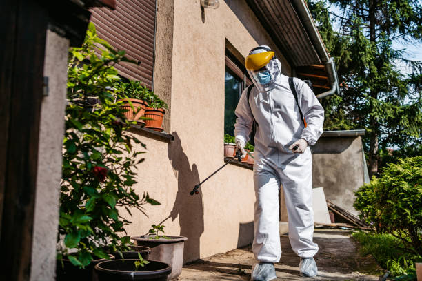 Best Spider Control Near Me  in Hudson, MI