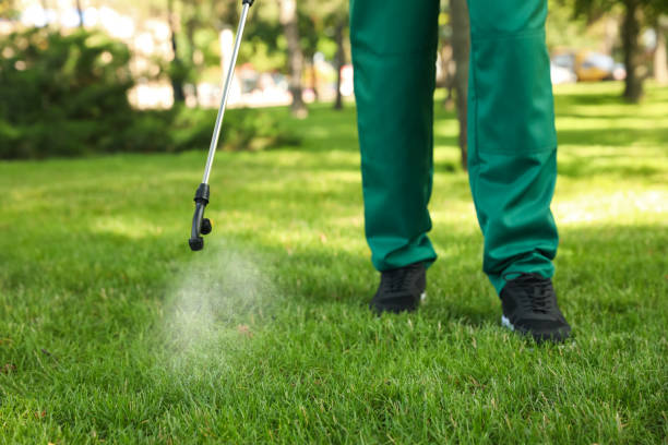 Best Flea Control Services  in Hudson, MI