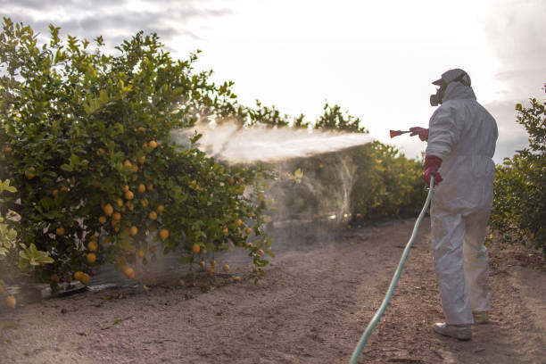 Reliable Hudson, MI Pest Control Solutions