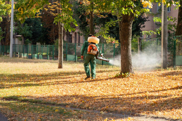 Best Affordable Pest Control Services  in Hudson, MI