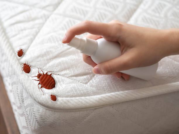  Hudson, MI Pest Control Pros