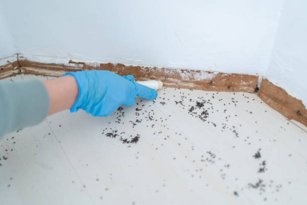 Wildlife Control Services in Hudson, MI