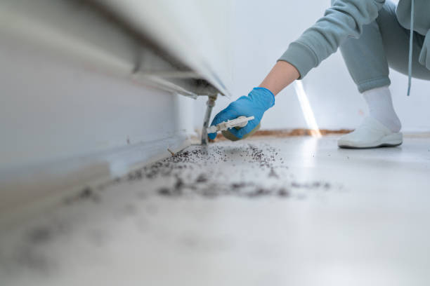 Best Insect Control  in Hudson, MI